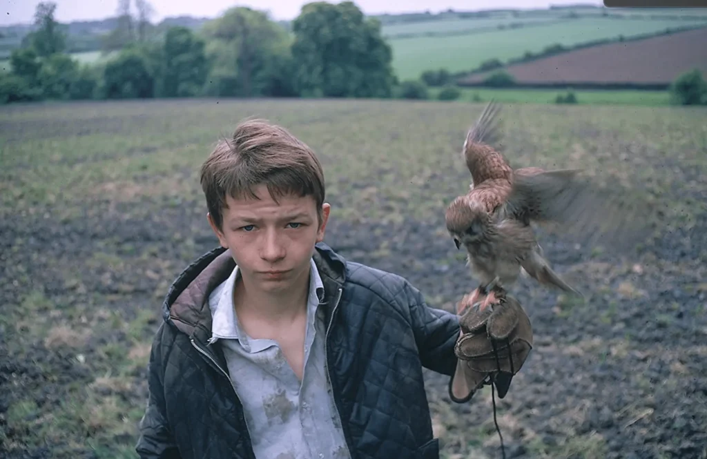 Kes filminden bir kesit